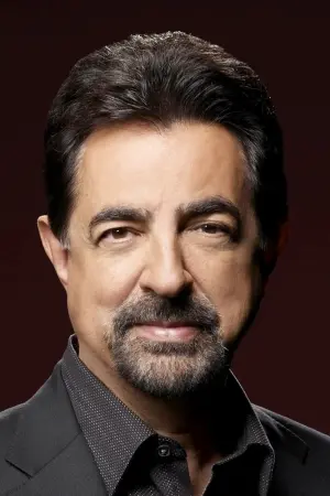 Photo Joe Mantegna #23285