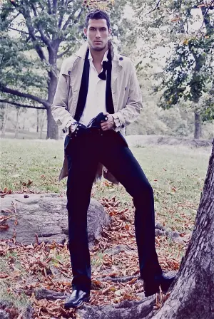 Photo Wayne Stephens #229057