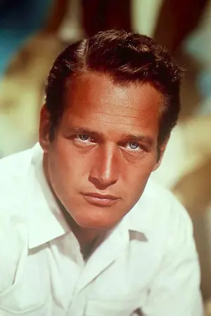 Photo Paul Newman #18805