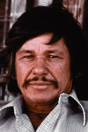 Photo Charles Bronson #44221