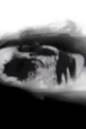 Photo Cinderella Valentine #345685