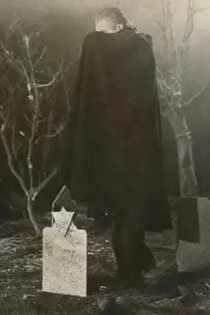 Photo Tom Mason #342130