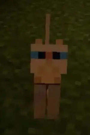 Photo Briloto #367299