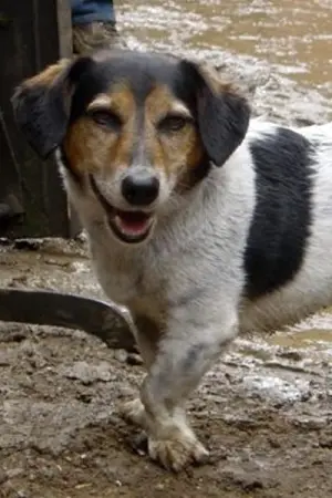 Photo Strapper #182844