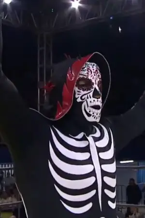 Photo Brazo de Oro Jr. #386537