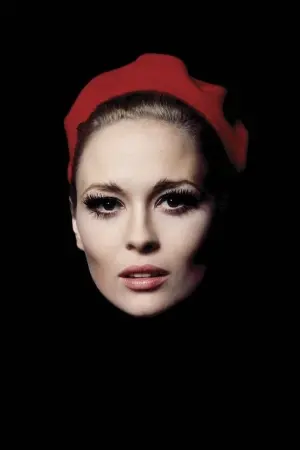 Photo Faye Dunaway #65194