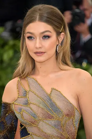 Photo Gigi Hadid #119268