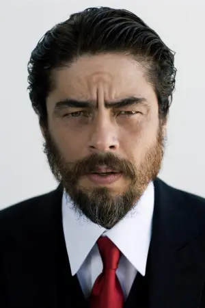 Photo Benicio del Toro #6489