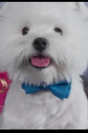 Photo Olivia #315214