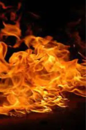 Photo Miller Sargeant #306521