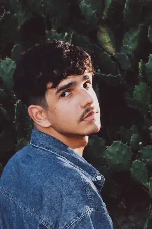 Photo Heron Condor #337745