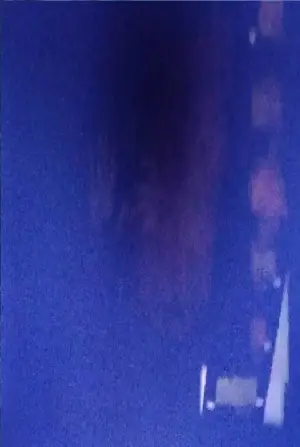 Photo Kevin Casciani Nolan #320219