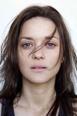 Photo Marion Cotillard #10862