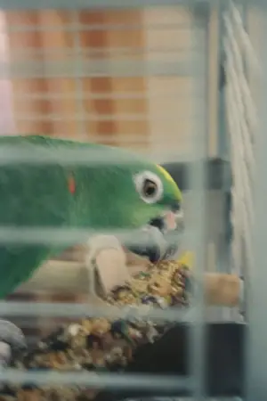 Photo Mr. Meeseeks #363420