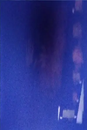 Photo Kevin Casciani Nolan #247359