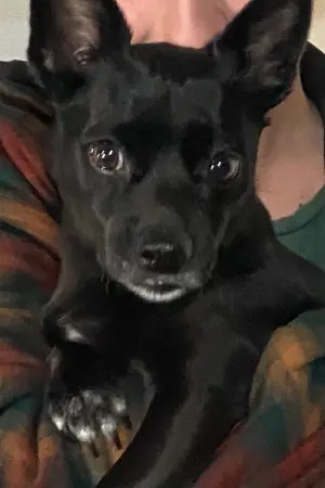 Photo Bailey Cross-Gales #298252