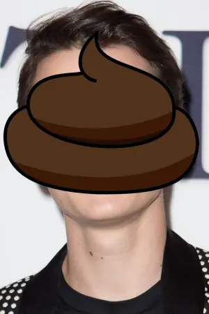 Photo Noah Schnapp #74988