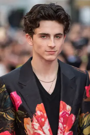 Photo Timothée Chalamet #1117