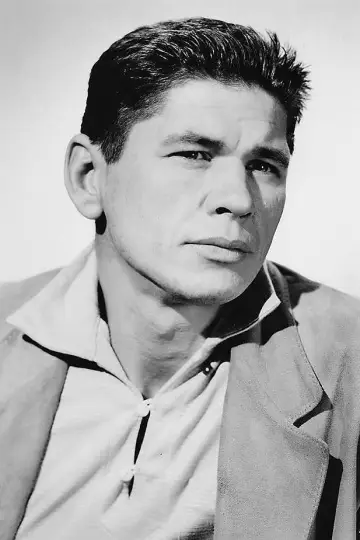 Photo Charles Bronson #44223