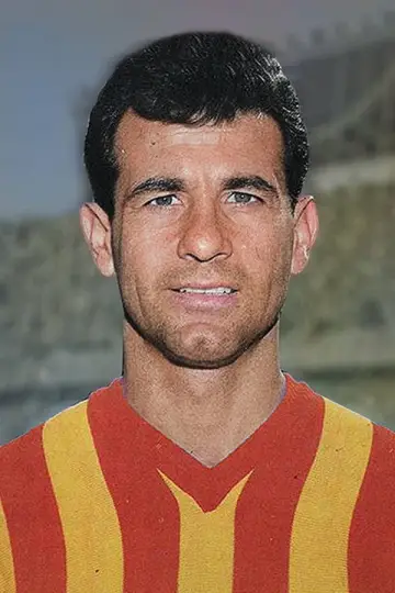 Photo Metin Oktay #619211