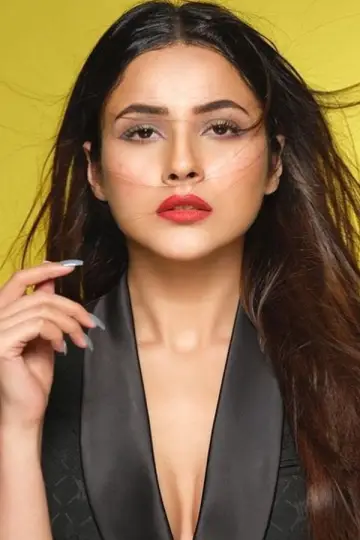 Photo Shehnaaz Gill #397775