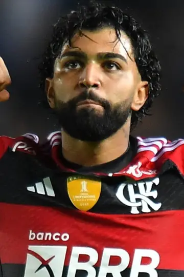 Photo Gabriel Barbosa #142836