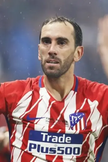 Photo Diego Godín #265786