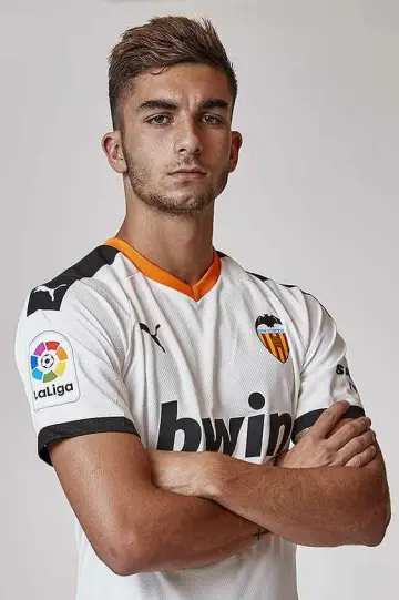 Photo Ferran Torres #650092