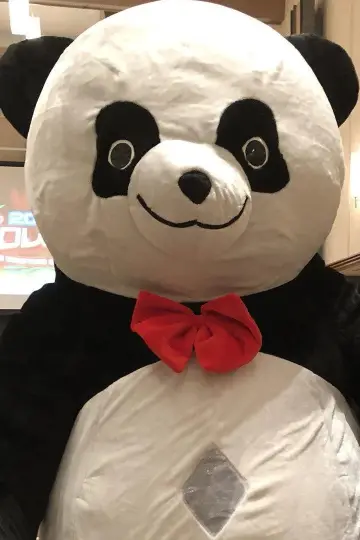 Photo Andreza Giant Panda #414392