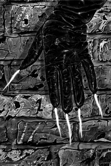 Photo Man with Claws #450506