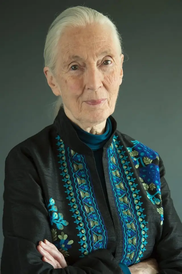 Photo Jane Goodall