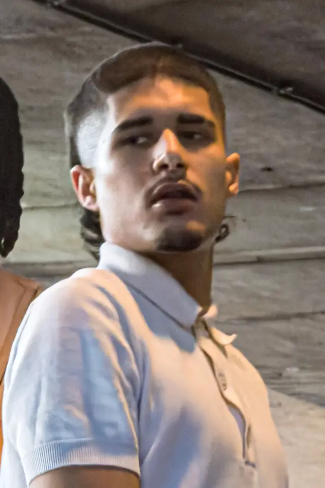 Photo Fakemink