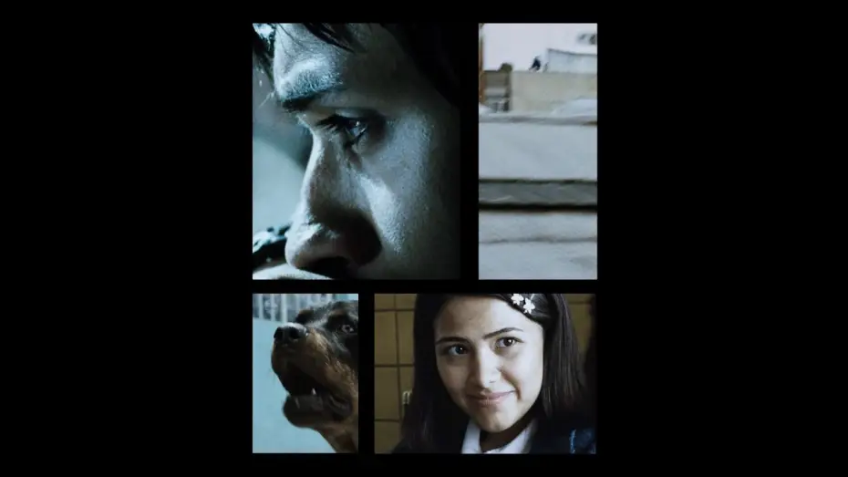 Watch film Amores Perros — AMORES PERROS is a timeless mosaic of Mexico City in the year 2000. [Subtitled]