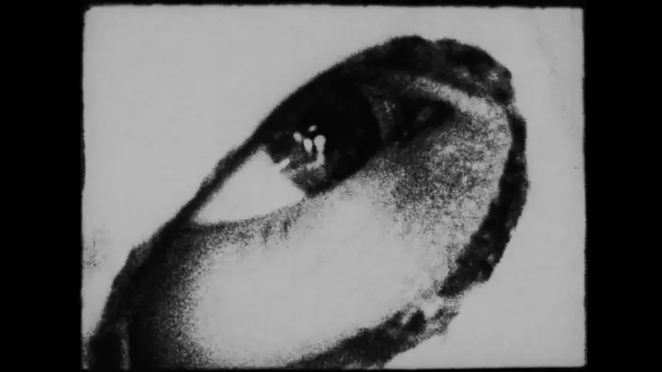 Watch film Begotten — Begotten – Official 4K Restoration Trailer