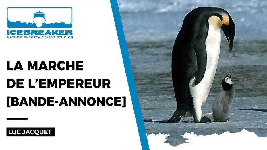 Watch film March of the Penguins — La Marche de l'Empereur de Luc Jacquet (bande-annonce)