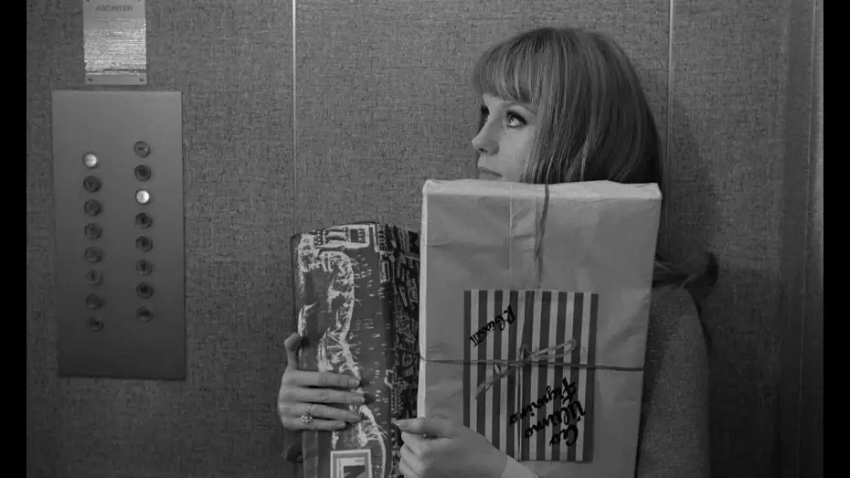 Watch film The Soft Skin — La Peau douce - François Truffaut, 1964