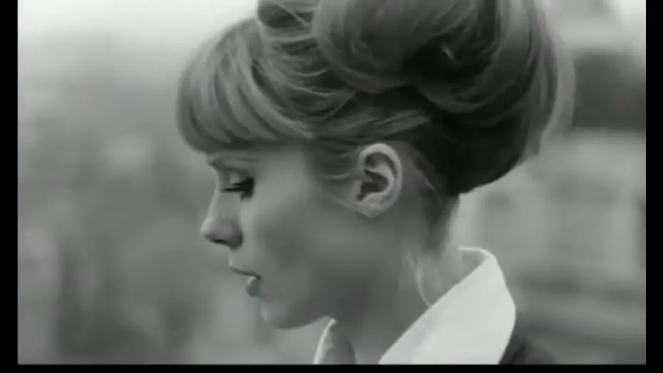 Watch film The Soft Skin — La peau douce (1964) 720p