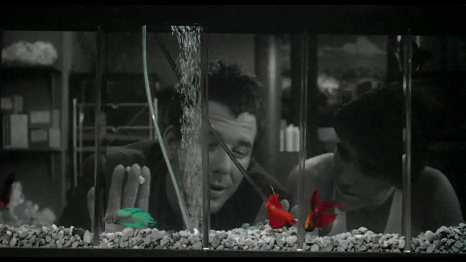 Watch film Rumble Fish — RUSTY JAMES - extrait "Poissons combattants" VOST
