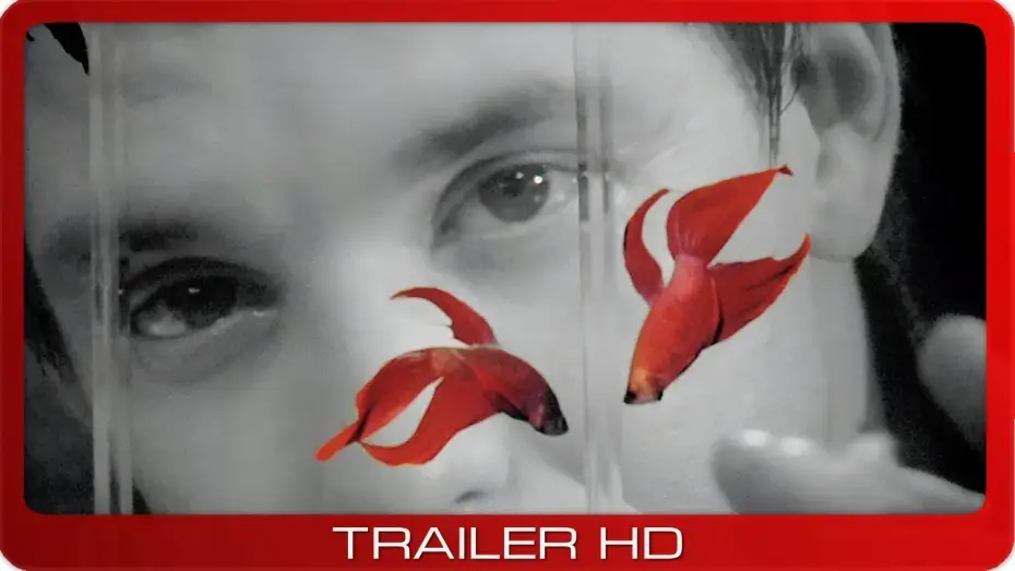 Watch film Rumble Fish — Rumble Fish ≣ 1983 ≣ Trailer ≣ Remastered ≣ German | Deutsch