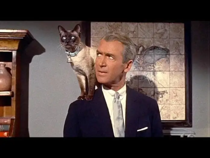 Watch film Bell, Book and Candle — Sam Hamm on BELL, BOOK, AND CANDLE