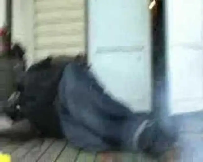 Watch film Be Kind Rewind — BoYZ In THe HooD (sweded)