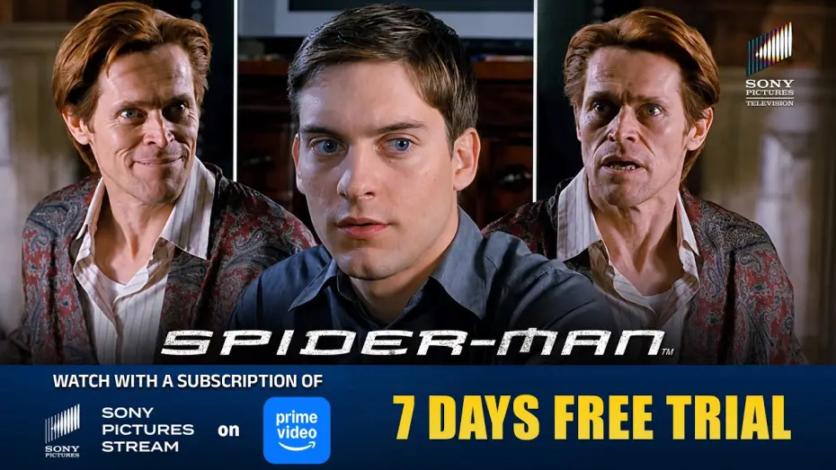 Watch film Spider-Man — Somebody Has to Stop it!