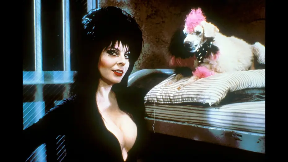 Watch film Elvira: Mistress of the Dark — Trailer - ELVIRA, HERRSCHERIN DER DUNKELHEIT (1988, Cassandra Peterson)