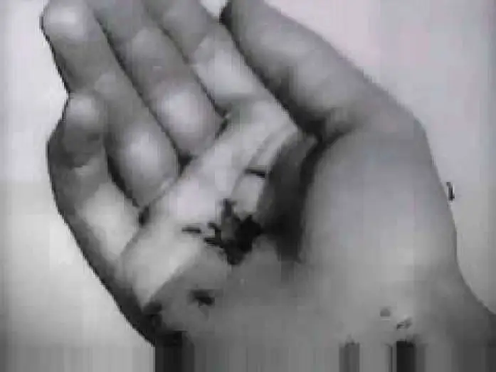 Watch film Un Chien Andalou — Un Chien Andalou - Trailer