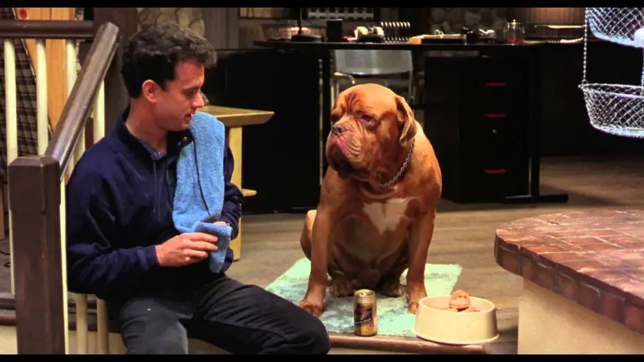 Watch film Turner & Hooch — Turner & Hooch (Bande annonce Vf)