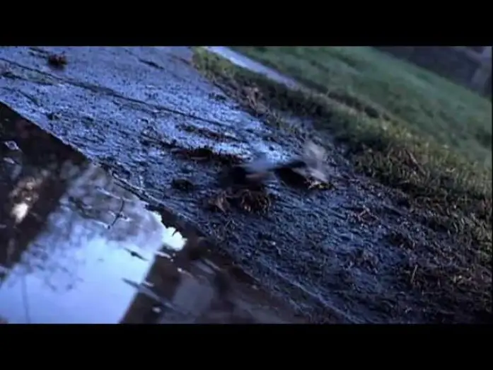 Watch film Untraceable — Nella rete del Serial Killer trailer ita
