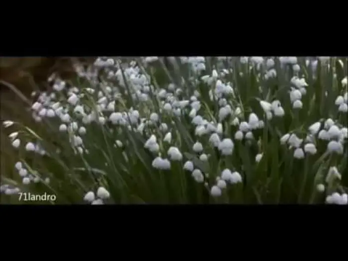 Watch film Howards End — Regreso a Howards End: Fragmento de la muerte y las flores