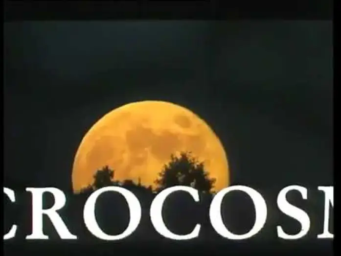 Watch film Microcosmos — Microcosmos Le peuple de l'herbe (1996) - Bande Annonce