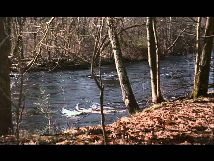 Watch film A Civil Action — Trailer