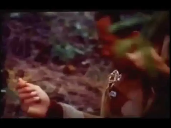 Watch film On Deadly Ground — Auf brennendem Eis - 1994 - Trailer Deutsch/German - Steven Seagal